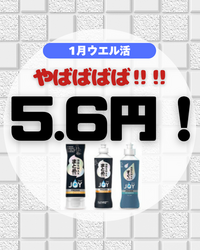 289.44円→ウエル活193pt →実質113pt.zip - 1.png