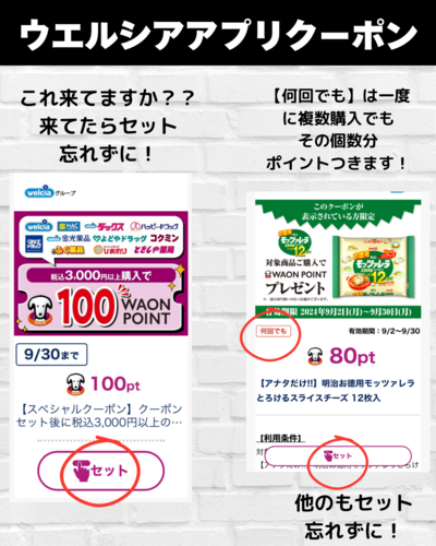 289.44円→ウエル活193pt →実質113pt.zip - 1.png