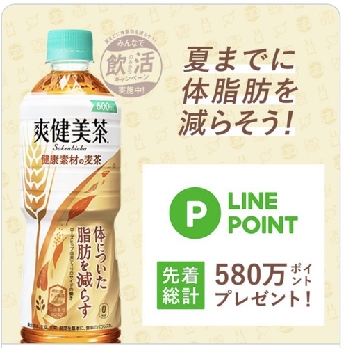 先着 爽健美茶キャンペーンでlineポイント毎日もらえる