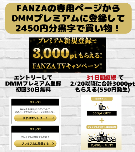 DMMプレミアムに登録して 2450円分タダポチ！.zip - 2.png