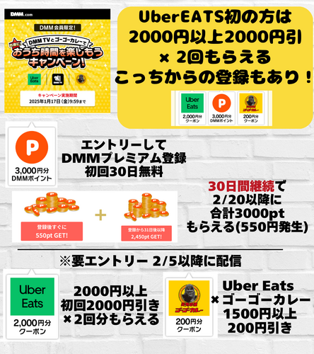 DMMプレミアムに登録して 2450円分タダポチ！.zip - 5.png