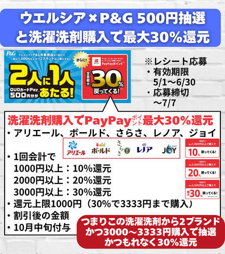 ウエルシア×QUOカードPay500円抽選と洗濯洗剤購入で最大30%還元.zip - 2.png