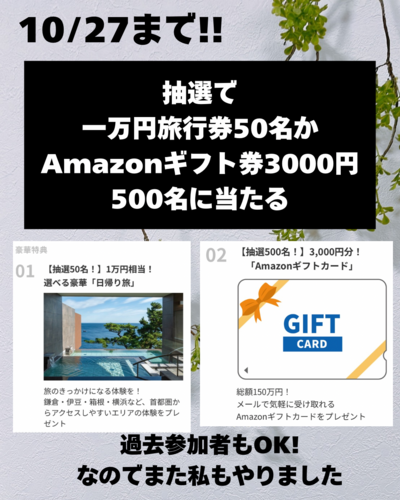 動画視聴とアンケート回答で - 3.png