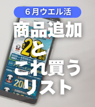 夏のボーナス 大還元 エントリー 忘れずに!!.zip - 12.png