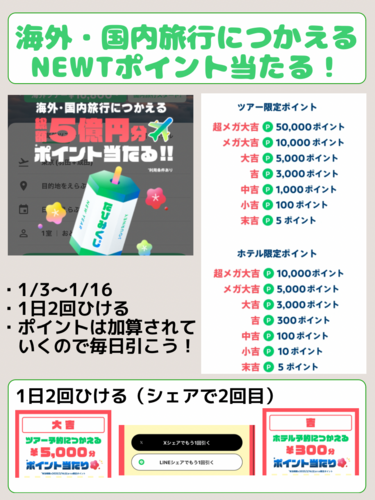 海外・国内旅行につかえる NEWTポイント当たる！.png