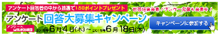 マクロミルキャンペーン.png